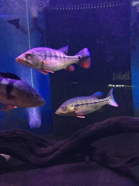 IMG_3575.JPG