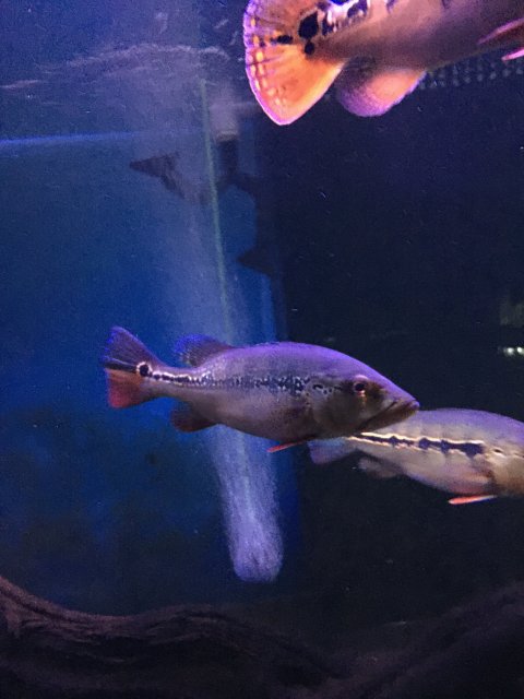 IMG_3568.JPG