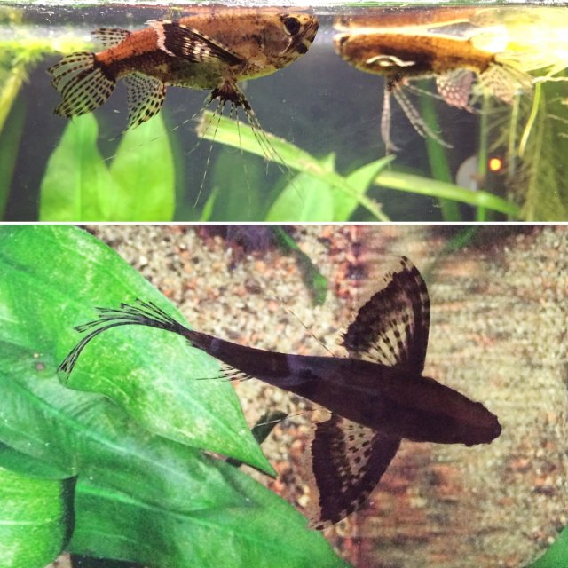 image.jpeg image.jpeg