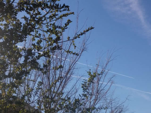 20170307_143746.jpg