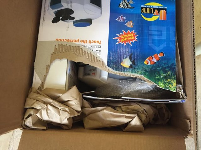 filter.jpg filter.jpg