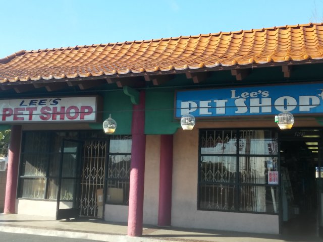 20170307_152317_HDR.jpg