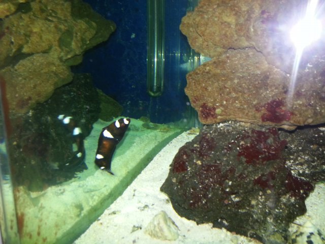 20170308_174738 (1).jpg