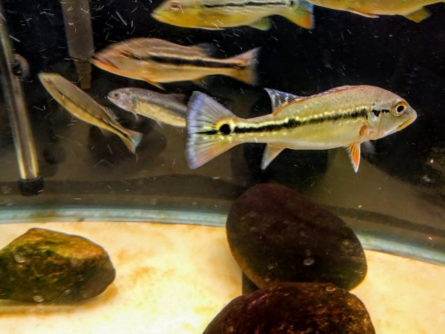 20170309_133153_HDR~2.jpg