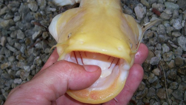 100_7303.JPG