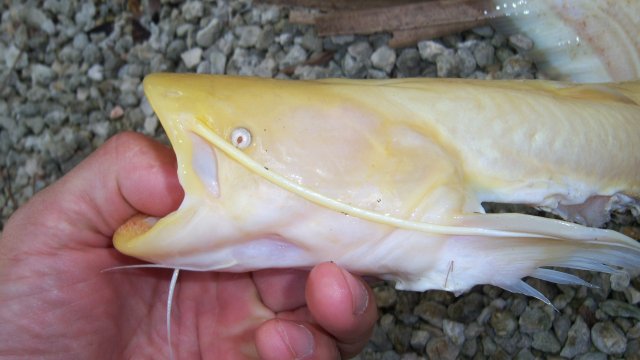 100_7304.JPG