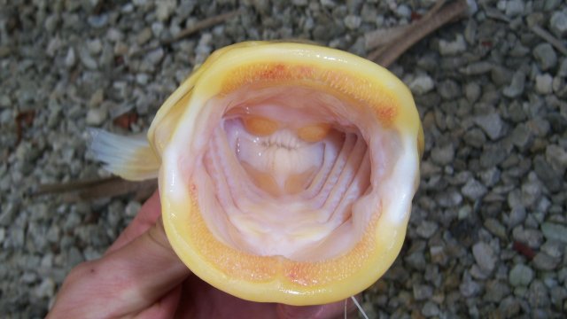100_7306.JPG