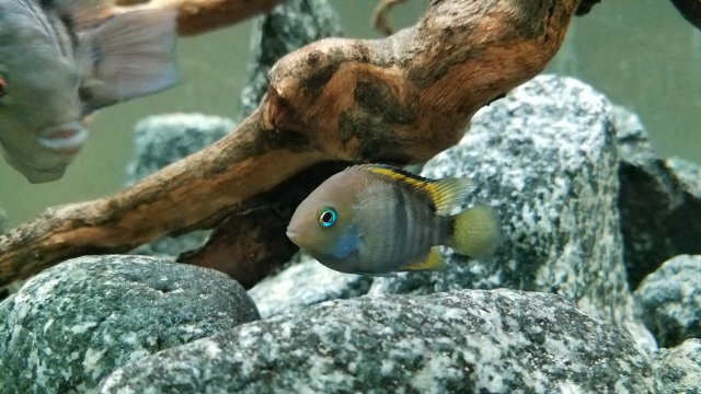 20170118_181041.jpg