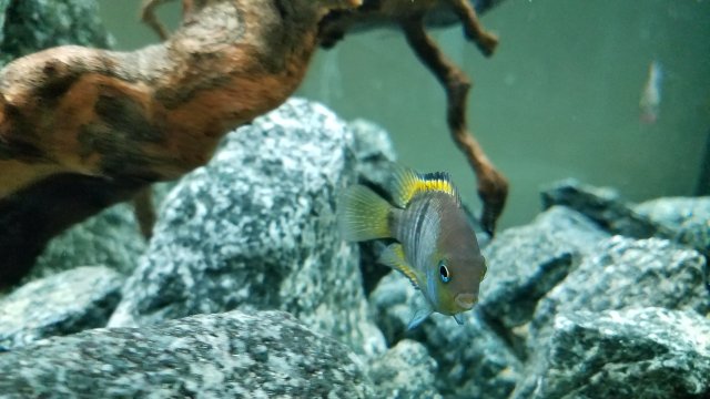 20170118_175626.jpg