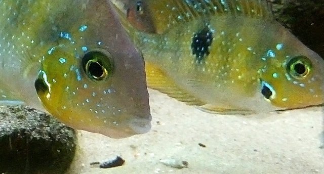 _20161126_090552.JPG _20161126_090552.JPG