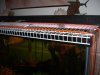 DSC02720.JPG