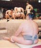 sumo-hairy-back---small.jpg