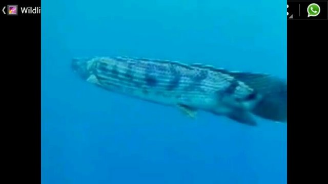 IMG-20120908-WA0002.jpg