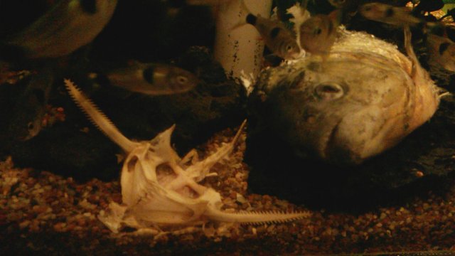 20160122_200208.jpg