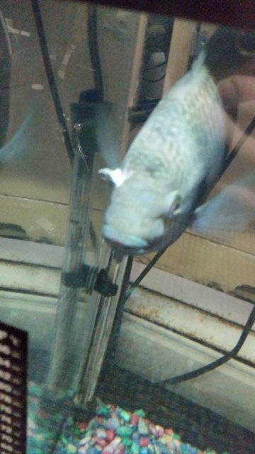 20170313_215630.jpg 20170313_215630.jpg