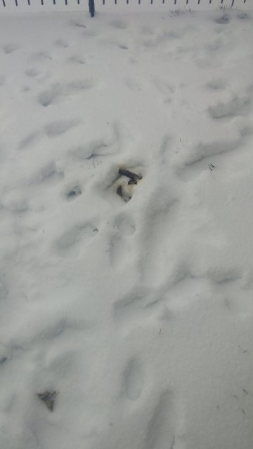 20170314_103229.jpg