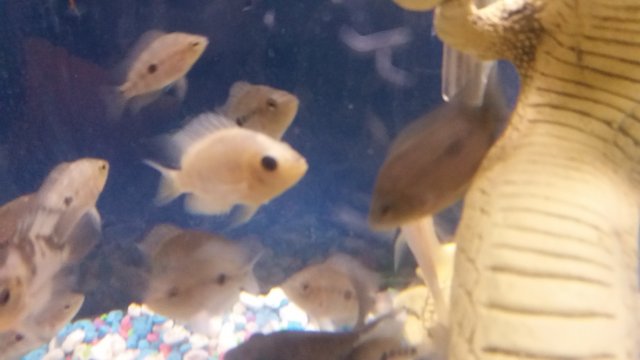 20170314_140229.jpg 20170314_140229.jpg