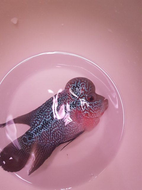 280120172319081.jpg