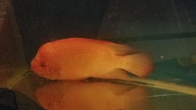 20170315_094501.jpg 20170315_094501.jpg