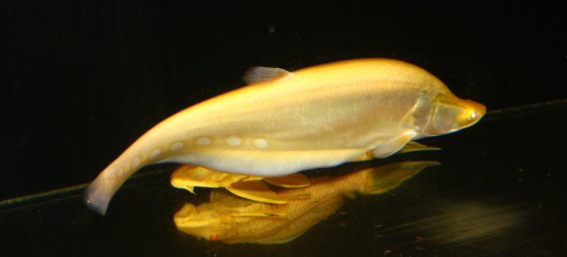 IMG_5857.JPG