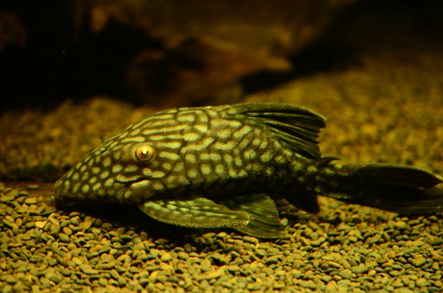 DSC_3379.JPG