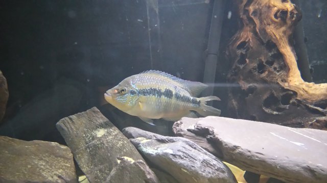 DSC_0158.JPG DSC_0158.JPG