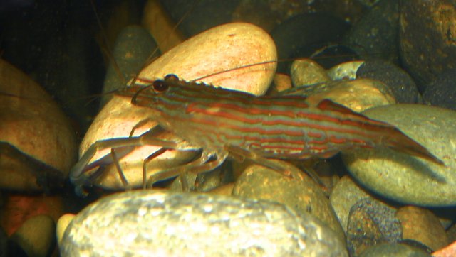 IMG_5642.jpg