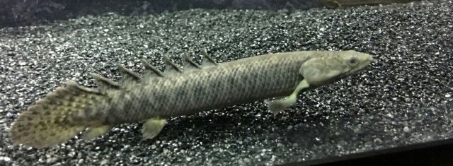 20170317_134030.jpg 20170317_134030.jpg