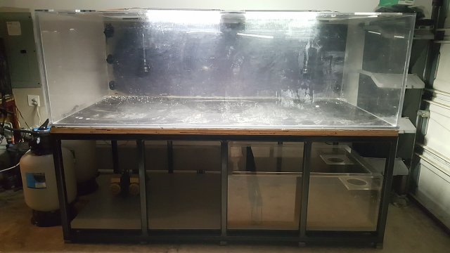 20170317_010926.jpg 20170317_010926.jpg