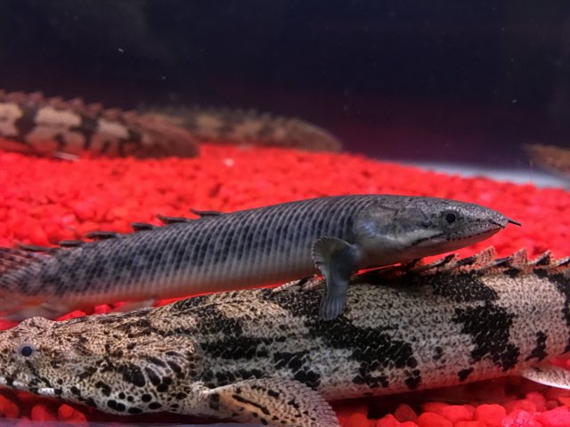 IMG_3838.JPG IMG_3838.JPG