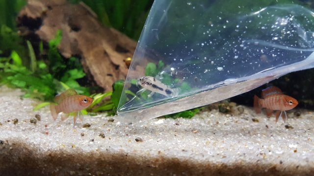20170318_160747.jpg