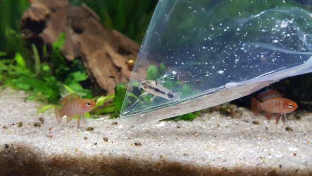 20170318_160746.jpg