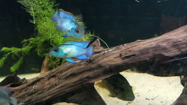20170318_161413.jpg