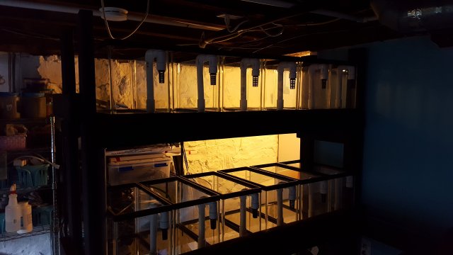 20170318_184223.jpg