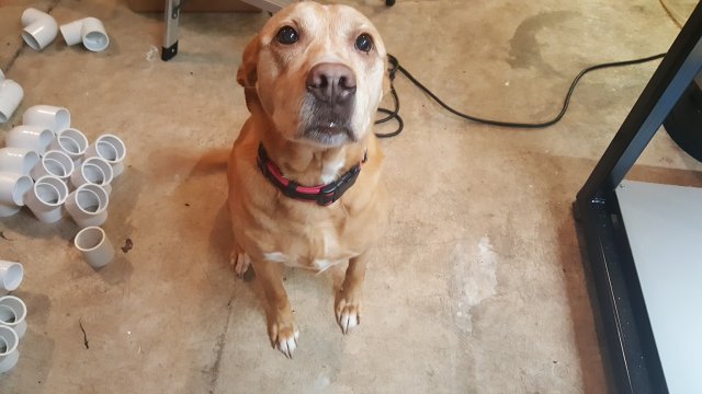 20170318_182323.jpg 20170318_182323.jpg