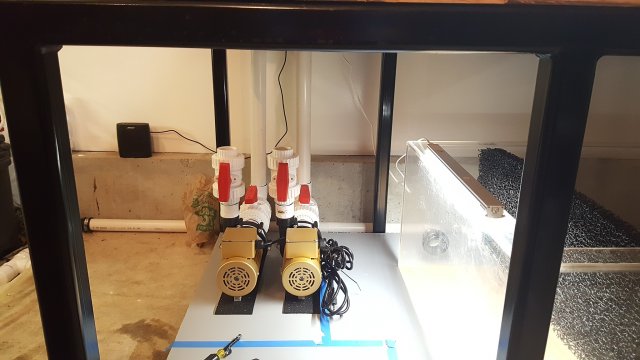 20170318_205114.jpg 20170318_205114.jpg