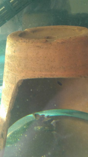 20170319_165221.jpg
