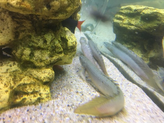 IMG_4806.JPG