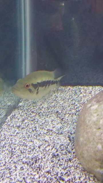 image2.jpg image2.jpg