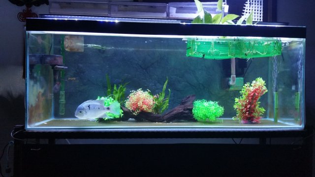 20170320_191149.jpg