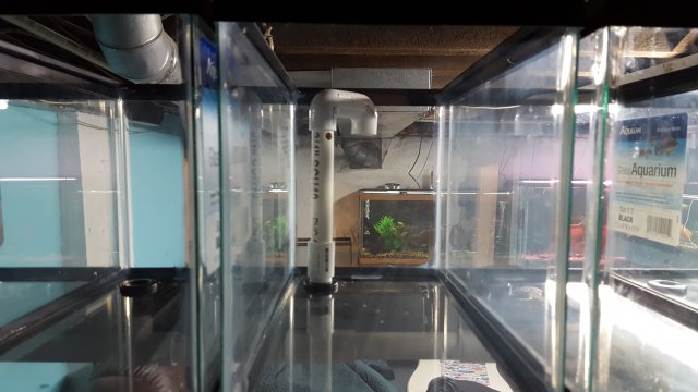 20170314_210943.jpg