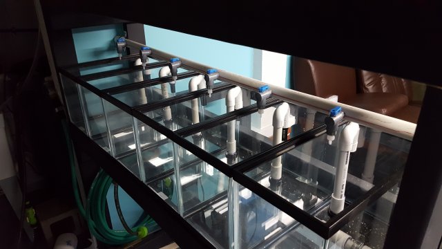 20170323_202906.jpg