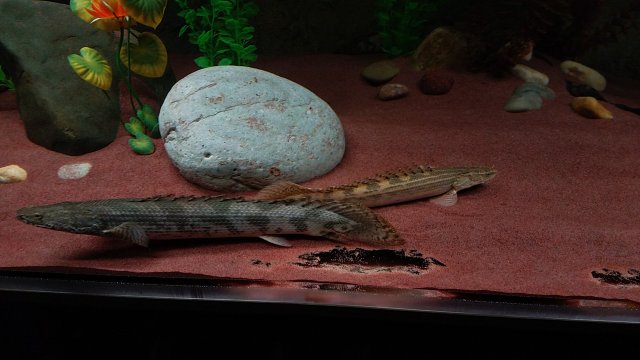 20170323_215036.jpg