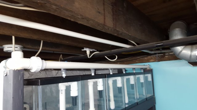 20170323_202932.jpg