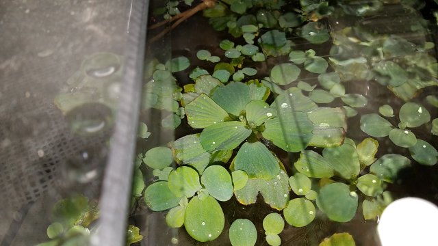 20170324_082214.jpg 20170324_082214.jpg