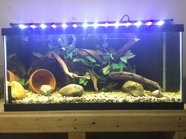 IMG_5090.JPG IMG_5090.JPG