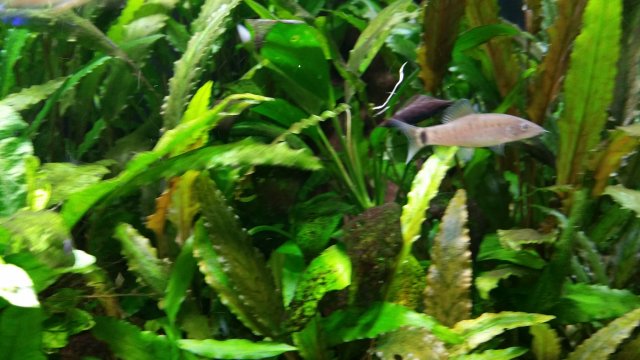 20170324_201330.jpg 20170324_201330.jpg