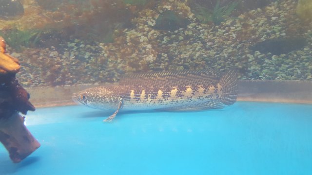 20170326_093002.jpg
