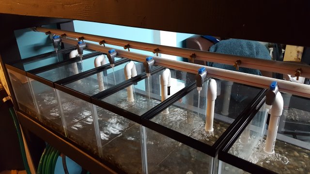 20170326_110949.jpg