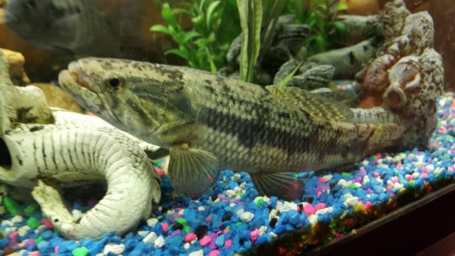 20170208_193023.jpg